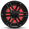 Rockford Fosgate M2D2-10IB